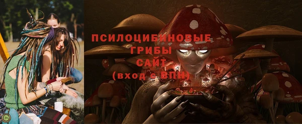 стафф Верея