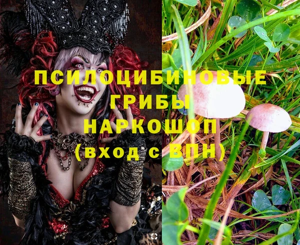 стафф Верея