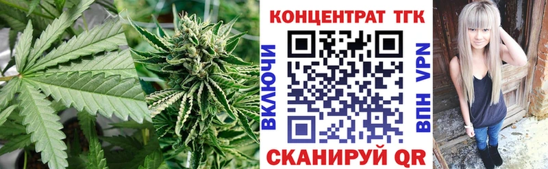 Купить где  Новохопёрск  Дистиллят ТГК Wax 